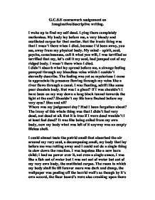 Examples of descriptive writing essays